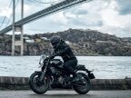 Thumbnail Photo 6 for New 2024 Husqvarna Svartpilen