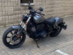 Thumbnail Photo 2 for New 2024 Indian Chief