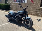 Thumbnail Photo 3 for New 2024 Indian Chief