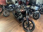 Thumbnail Photo 2 for New 2024 Indian Chief