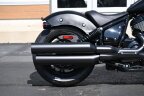 Thumbnail Photo 6 for New 2024 Indian Chief