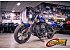 2024 Indian Chief Dark Horse ABS