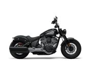 New 2024 Indian Chief