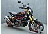 2024 Indian FTR 1200 R Carbon