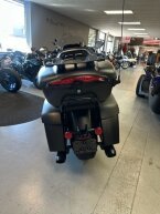 Thumbnail Photo 3 for 2024 Indian Pursuit Dark Horse