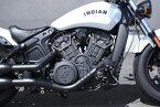 Thumbnail Photo 4 for New 2024 Indian Scout