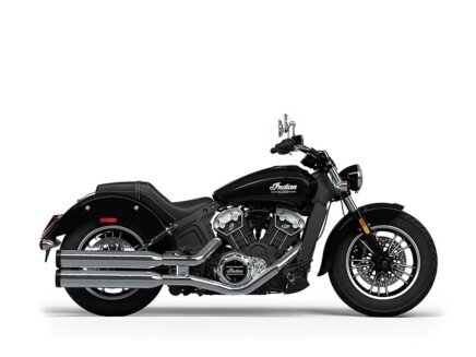 Photo 1 for New 2024 Indian Scout