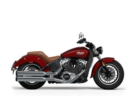 Photo 1 for New 2024 Indian Scout
