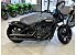2024 Indian Scout Rogue w/ ABS