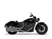 New 2024 Indian Scout
