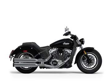 New 2024 Indian Scout