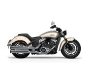 New 2024 Indian Scout