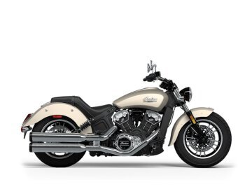 New 2024 Indian Scout