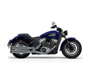 New 2024 Indian Scout