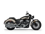 New 2024 Indian Scout