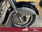 Thumbnail Photo 2 for New 2024 Indian Springfield Premium w/ ABS