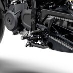 Thumbnail Photo 4 for New 2024 KTM 250 Duke