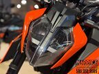 Thumbnail Photo 3 for New 2024 KTM 250 Duke