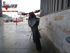 Thumbnail Photo 5 for New 2024 KTM 350XW-F