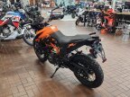 Thumbnail Photo 4 for New 2024 KTM 390 Adventure