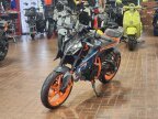 Thumbnail Photo 5 for New 2024 KTM 390
