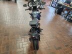 Thumbnail Photo 2 for New 2024 KTM 390