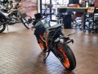 Thumbnail Photo 3 for New 2024 KTM 390