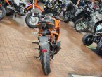 Thumbnail Photo 2 for New 2024 KTM RC 390