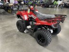 Thumbnail Photo 5 for New 2024 Kawasaki Brute Force 300