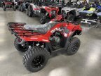 Thumbnail Photo 6 for New 2024 Kawasaki Brute Force 300