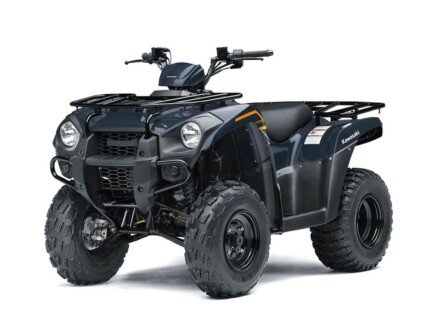 Photo 1 for New 2024 Kawasaki Brute Force 300