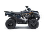Thumbnail Photo 1 for New 2024 Kawasaki Brute Force 300