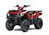 New 2024 Kawasaki Brute Force 300