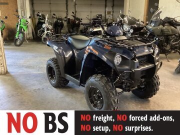 New 2024 Kawasaki Brute Force 300
