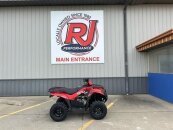 New 2024 Kawasaki Brute Force 300