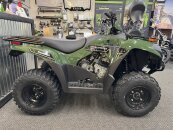 New 2024 Kawasaki Brute Force 300