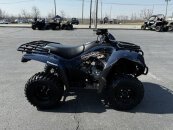 2024 Kawasaki Brute Force 300