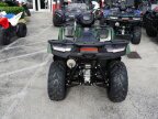 Thumbnail Photo 3 for New 2024 Kawasaki Brute Force 750