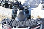 Thumbnail Photo 4 for New 2024 Kawasaki Brute Force 750 EPS LE
