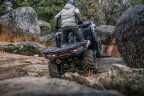 Thumbnail Photo 6 for New 2024 Kawasaki Brute Force 750 EPS