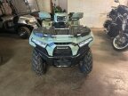 Thumbnail Photo 1 for New 2024 Kawasaki Brute Force 750 EPS LE