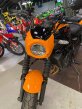 Thumbnail Photo 1 for 2024 Kawasaki Eliminator 450 SE ABS