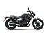 New 2024 Kawasaki Eliminator 450 ABS