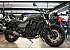 2024 Kawasaki Eliminator 450