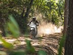 Thumbnail Photo 3 for New 2024 Kawasaki KLR650