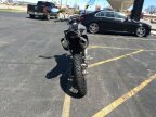 Thumbnail Photo 2 for 2024 Kawasaki KLX300