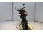 Thumbnail Photo 3 for 2024 Kawasaki KLX300