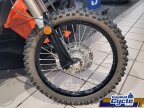Thumbnail Photo 3 for 2024 Kawasaki KLX300
