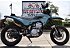 2024 Kawasaki KLX300 SM
