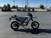 2024 Kawasaki KLX300 SM